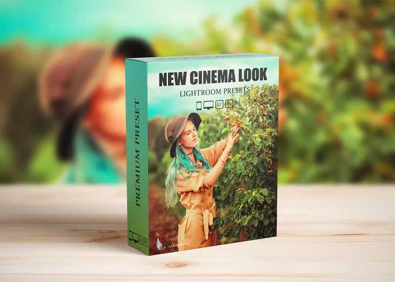 Steal Film Cinematic Look Lightroom Presets ALTDAEM