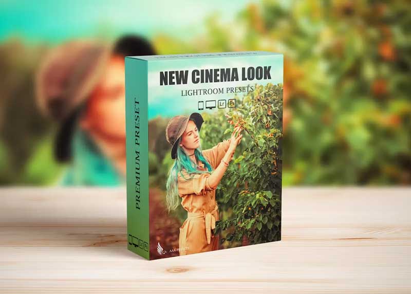 Steal Film Cinematic Look Lightroom Presets