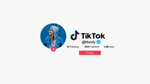 Videohive Tiktok Promo 47494695