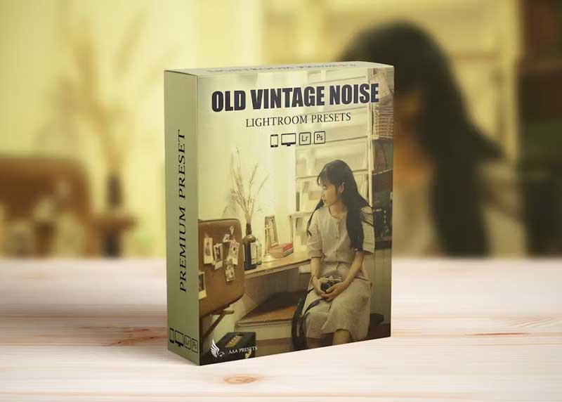 Vintage Retro Grain Film Look Lightroom Preset QRLTVHA