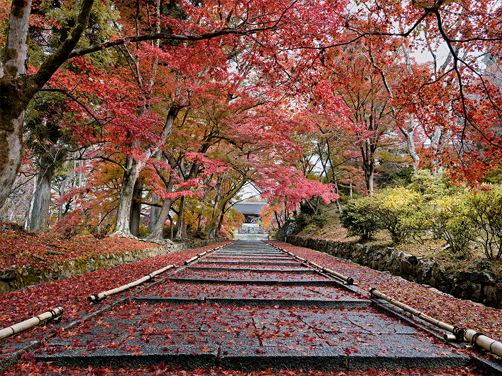 photographing the world japan locations