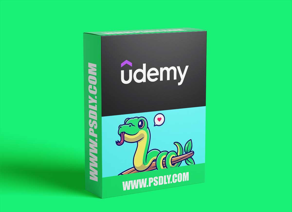 300+ Python Challenges: Python Exercises For Beginners 2023