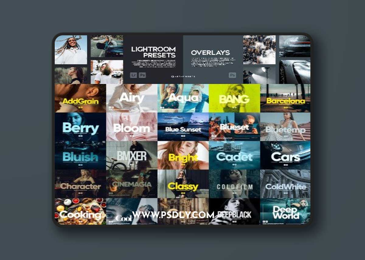 ARTA Presets Bundle - 297 Presets