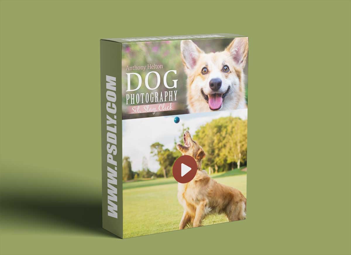 Dog Photography: Sit, Stay, Click with Anthony Helton