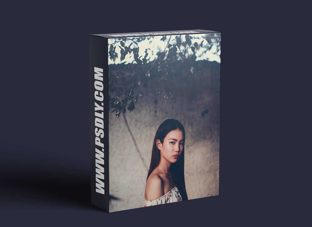 Phlearn Pro - How to Master Adjustment Layers in Photoshop