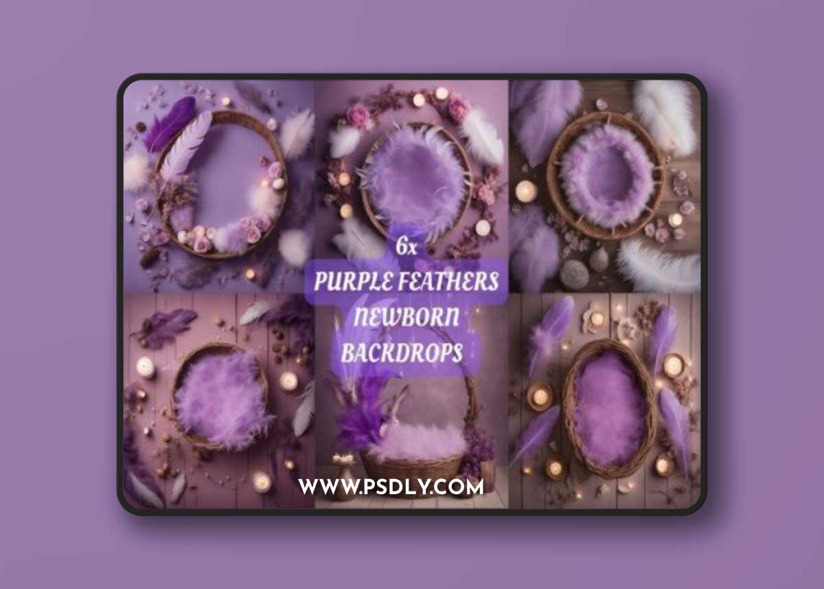 Purple Feathers Newborn