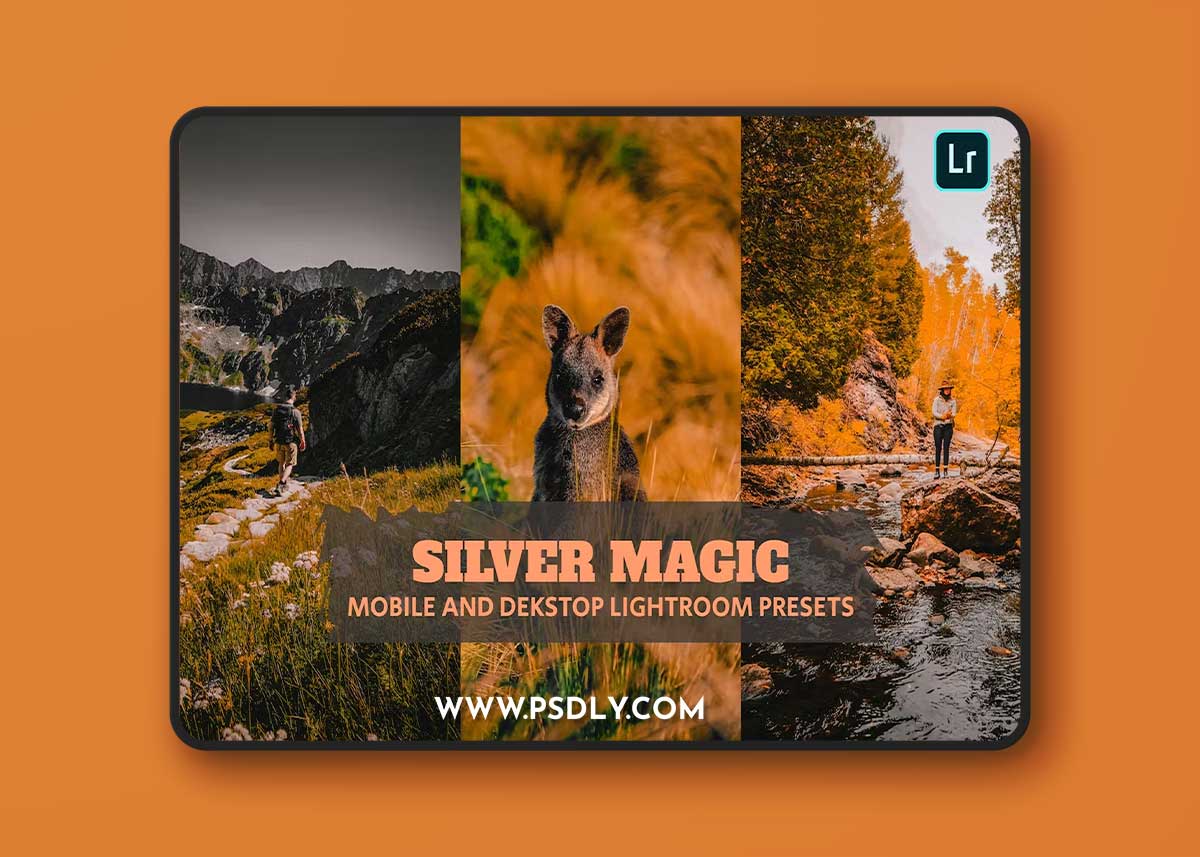 Silver Magic Lightroom Presets Dekstop and Mobile NZR6HJX