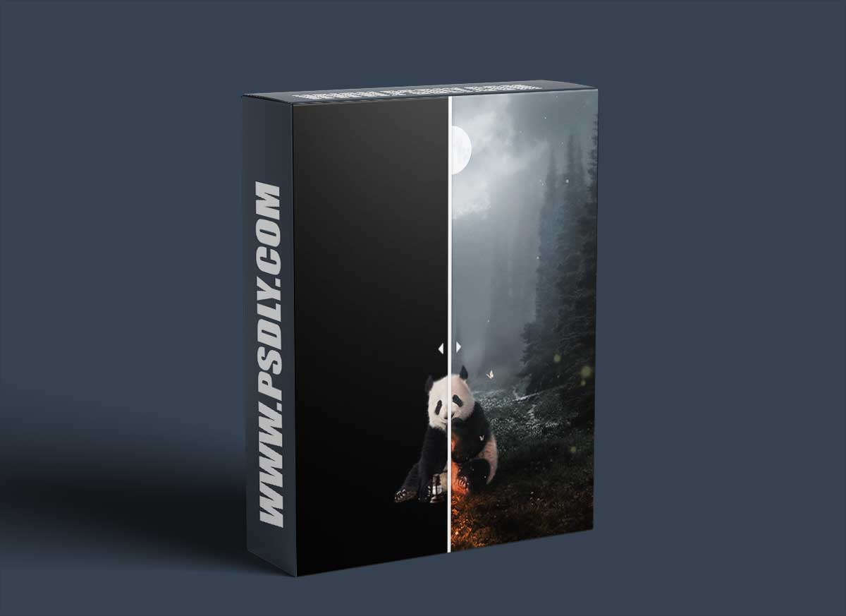 Zenja Gammer - Mastering Light Effects