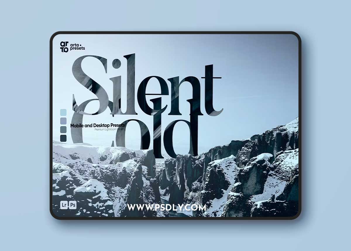 ARTA - Silent Cold Presets for Lightroom YUGKCF4