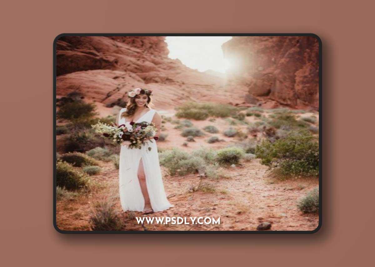 Twig & Olive Photography - Harvest Matte Actions