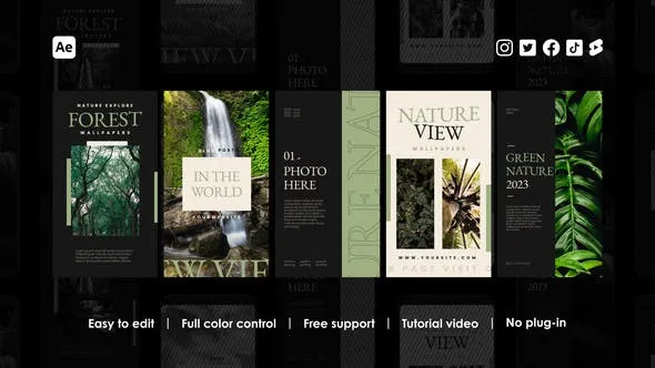 Videohive Album Instagram Reels 48461443