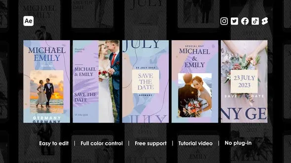 Videohive Wedding Instagram Reels 48442072