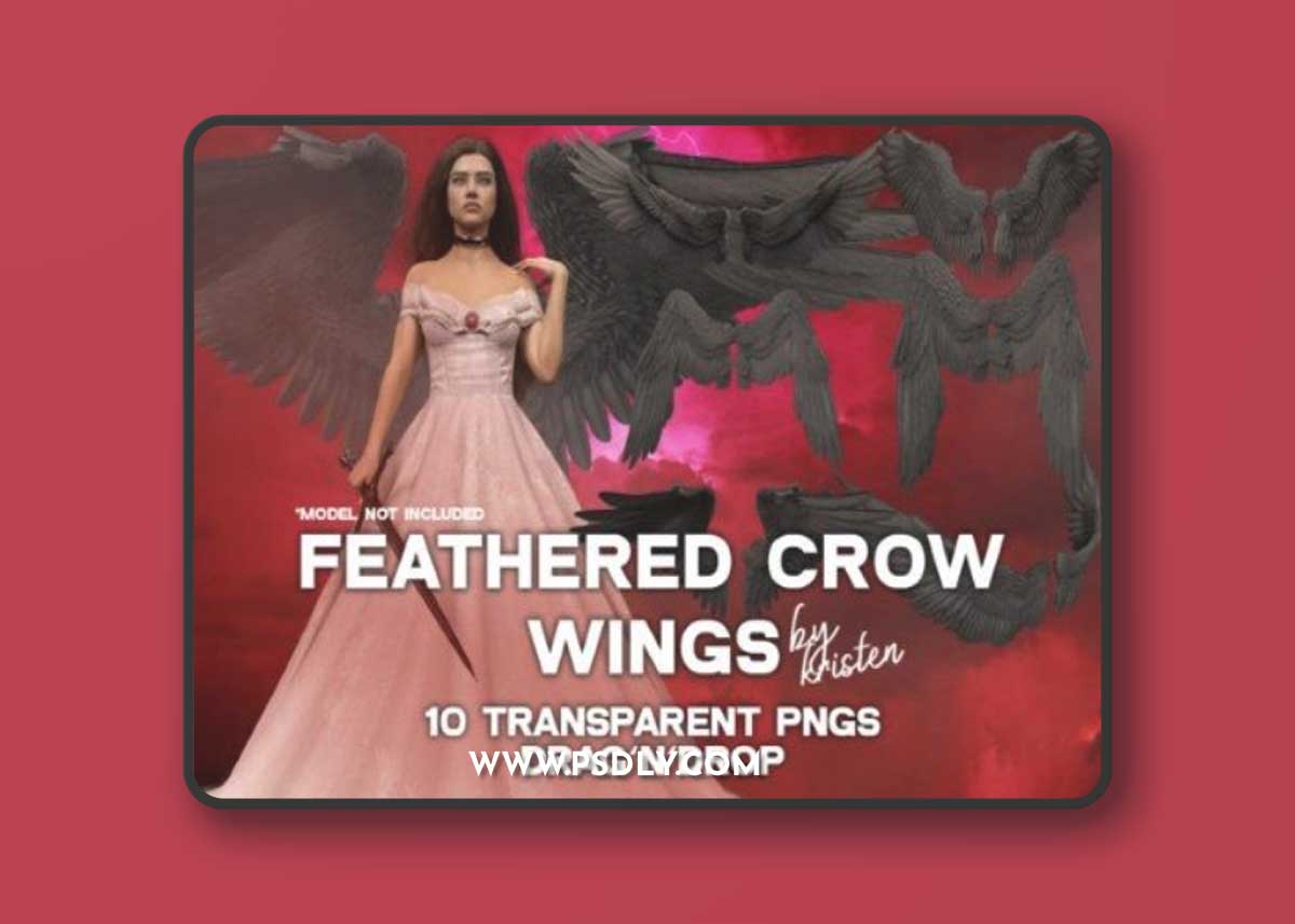 10 3D Crow Wings Photo Overlay PNGs