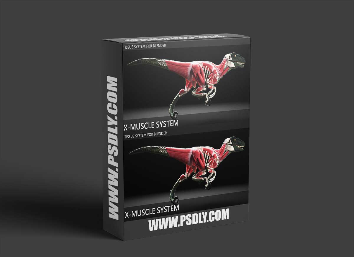 Blender Market - X-Muscle System 4.0