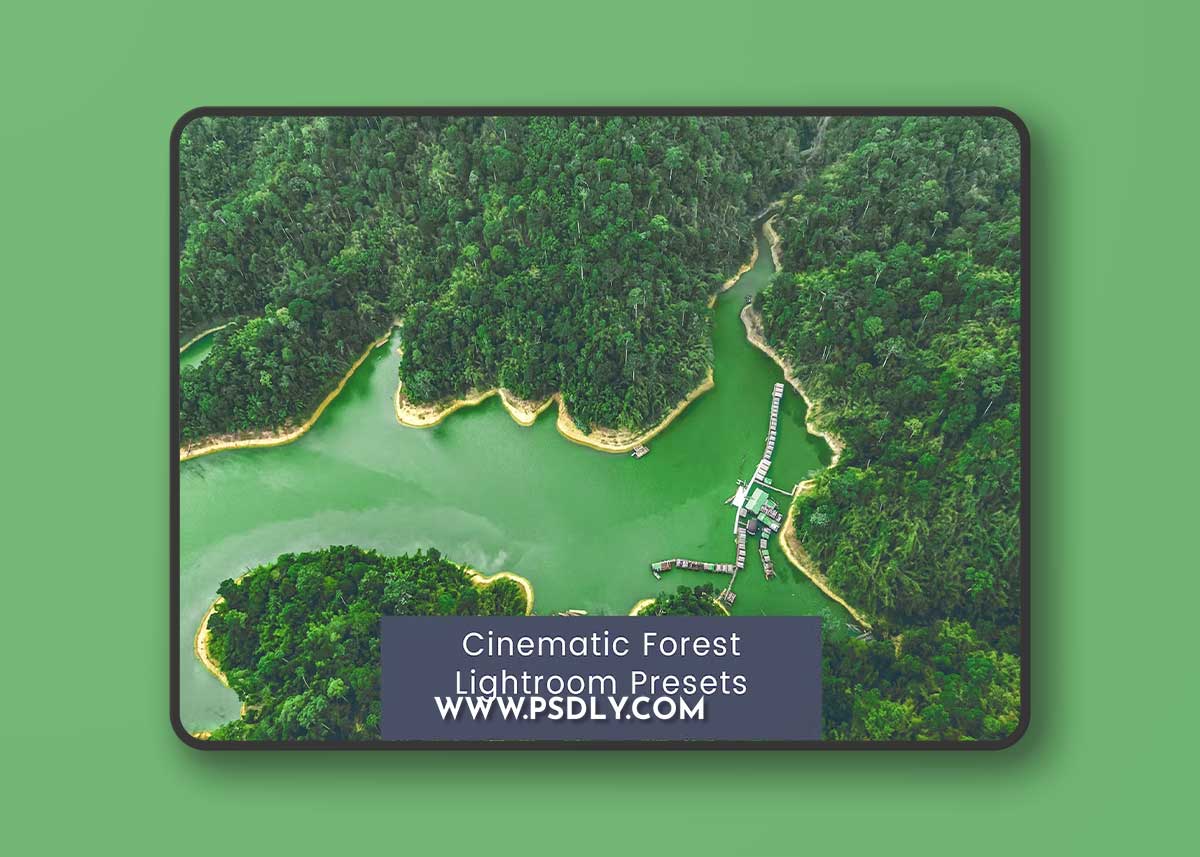 Cinematic Forest Lightroom Presets Y4BBJ57