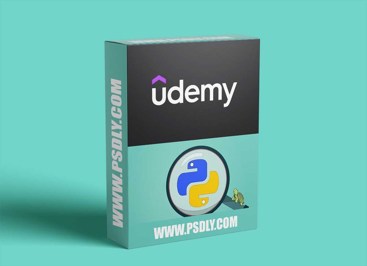 Python & Turtle: A Practical Guide for Beginners and Beyond