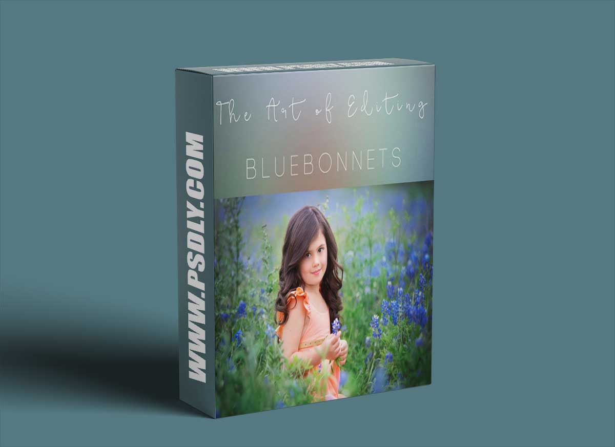 Sandra Bianco - Bluebonnets edit