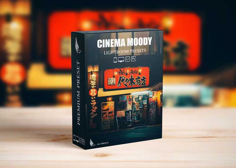 Street Cinematic Dark Moody Lightroom Presets