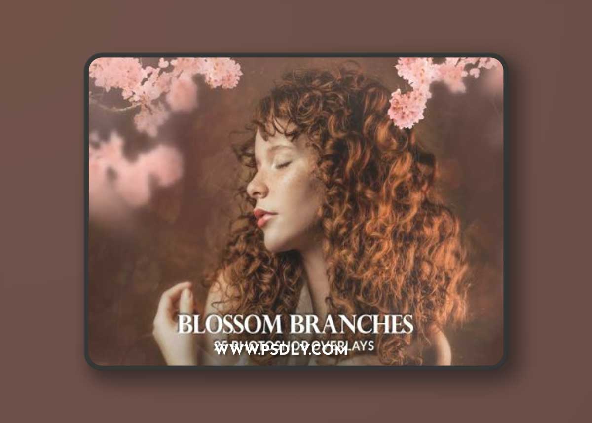 25 Painted blossom branches photo overlays