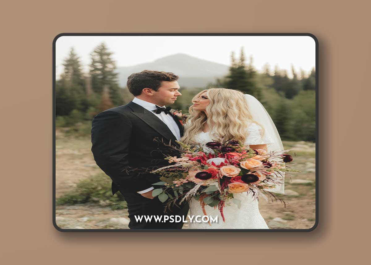 Ashlyn Stott Photography Presets Pack