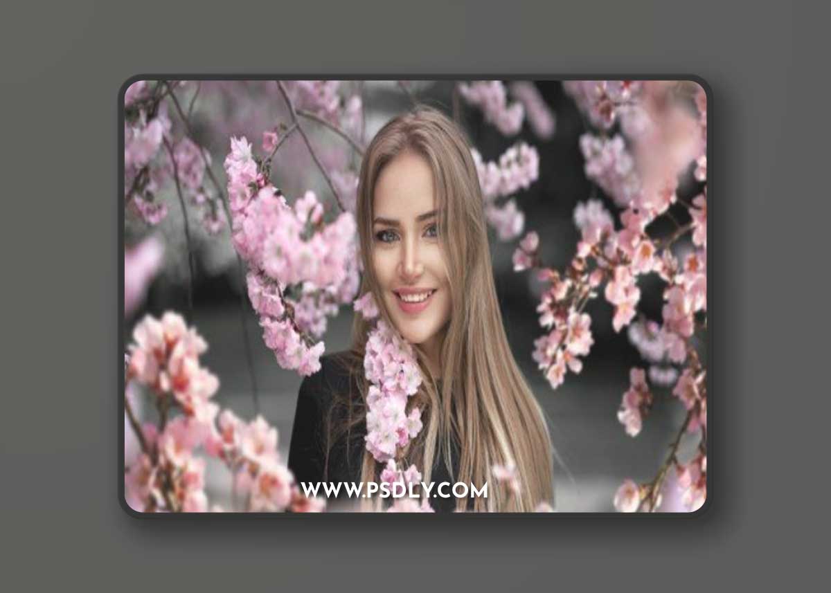 Blossom tree branch overlays, flowering trees, cherry, apple tree, blossom, overlay, Photoshop overlays