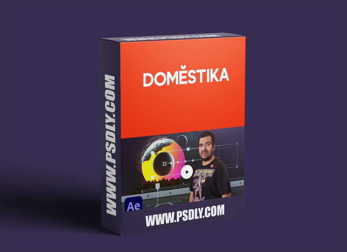 Domestika - Creation of animated infographics