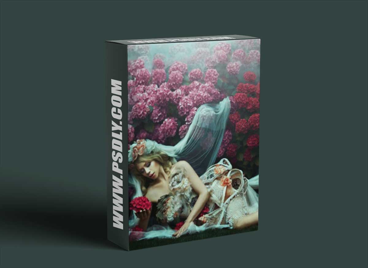 The Portrait Masters - The Power of Color to Transform Your Images: Color Grading Techniques in Adobe Photoshop