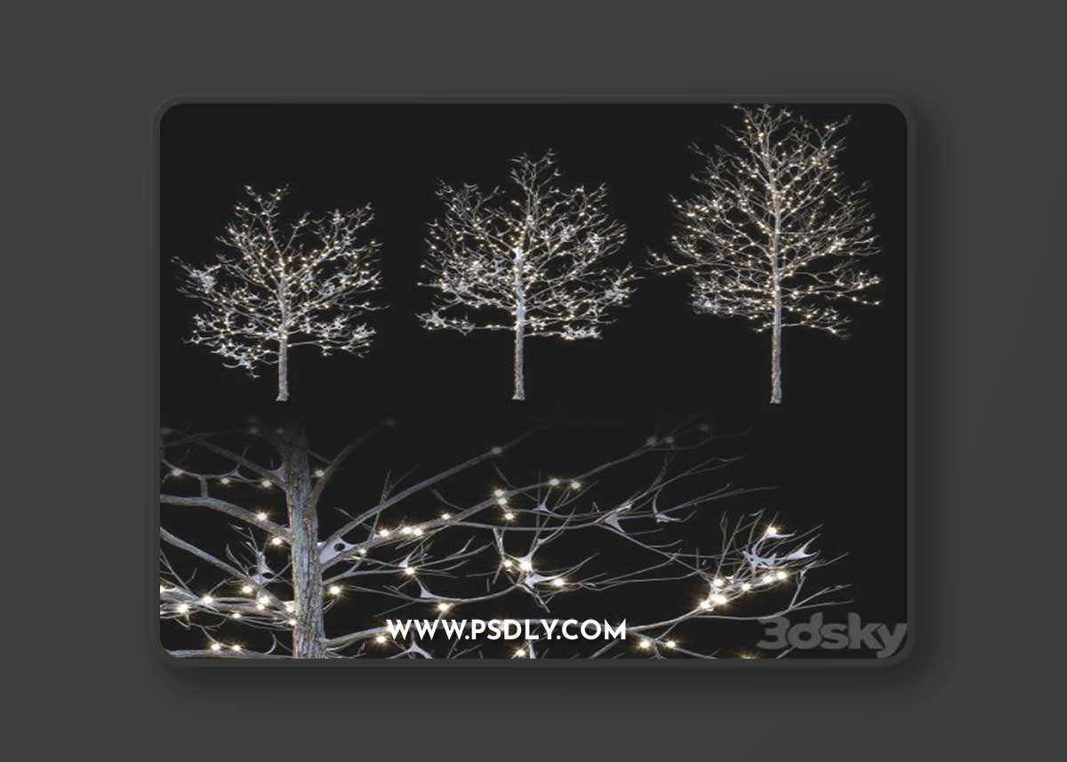 Trees in the snow with a luminous garland