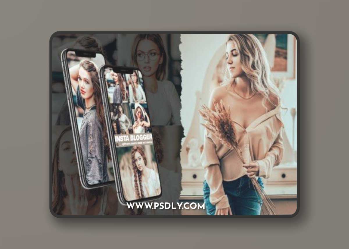 Blogger Tones Lightroom Presets