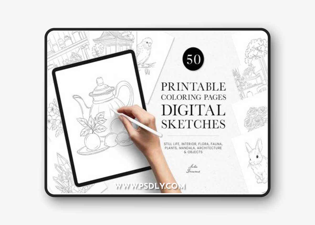 Coloring Pages Digital Sketches Illustration