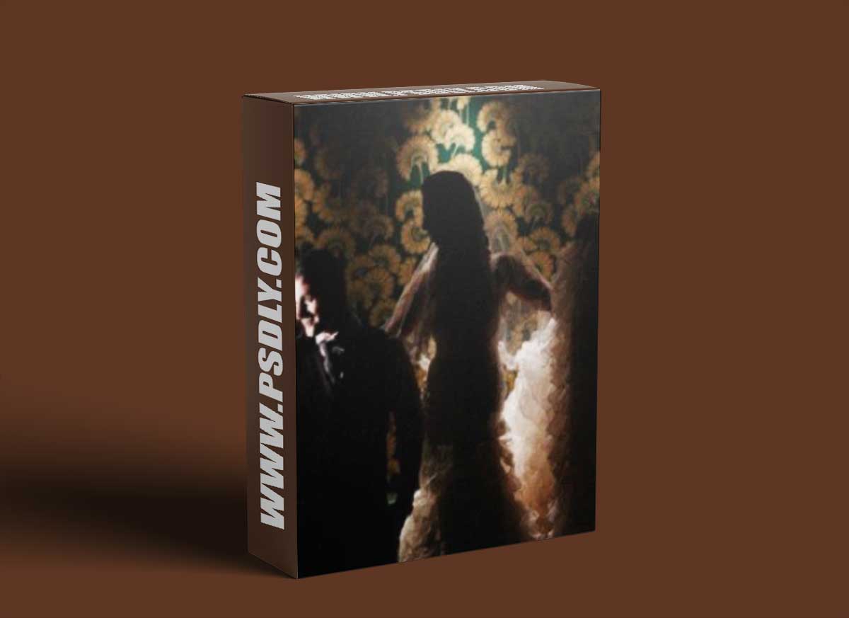 Jerry Ghionis - Paul & Barbara Wedding