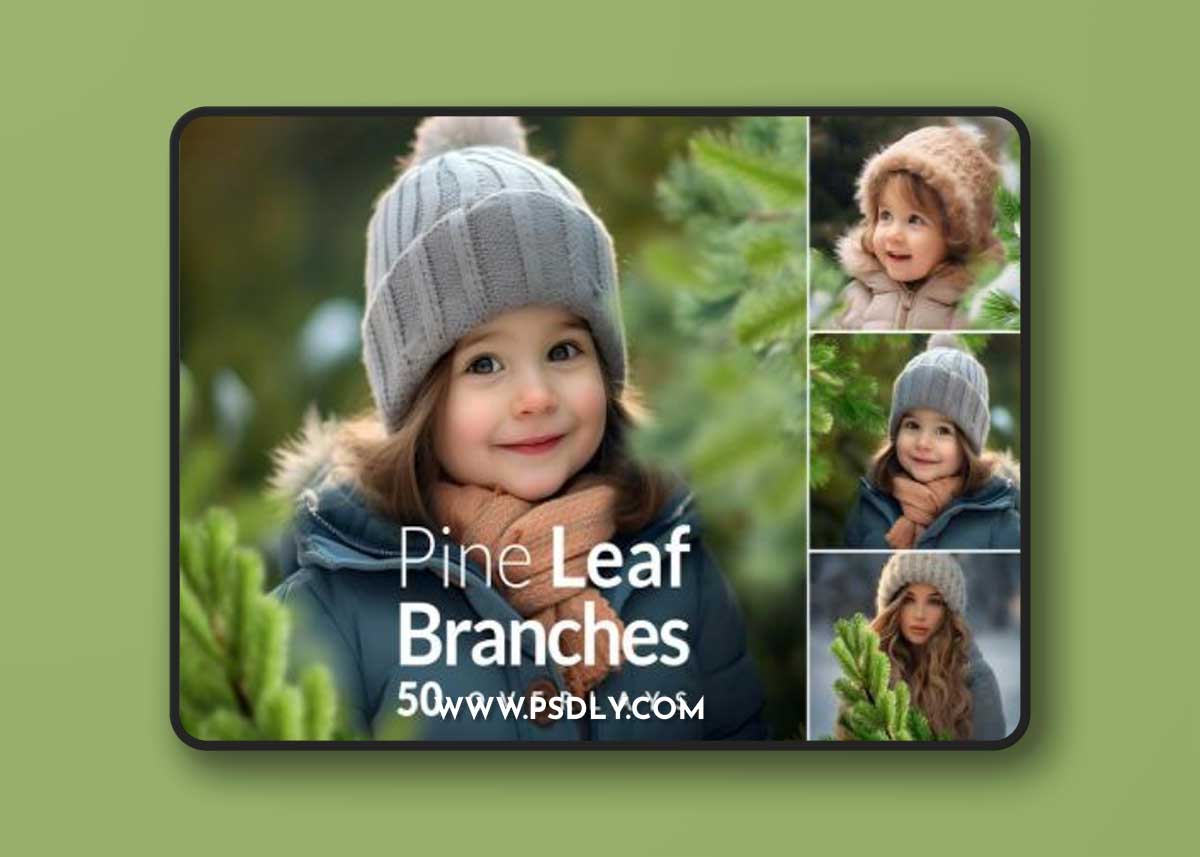 Pine Branches Christmas transparent PNG Overlays