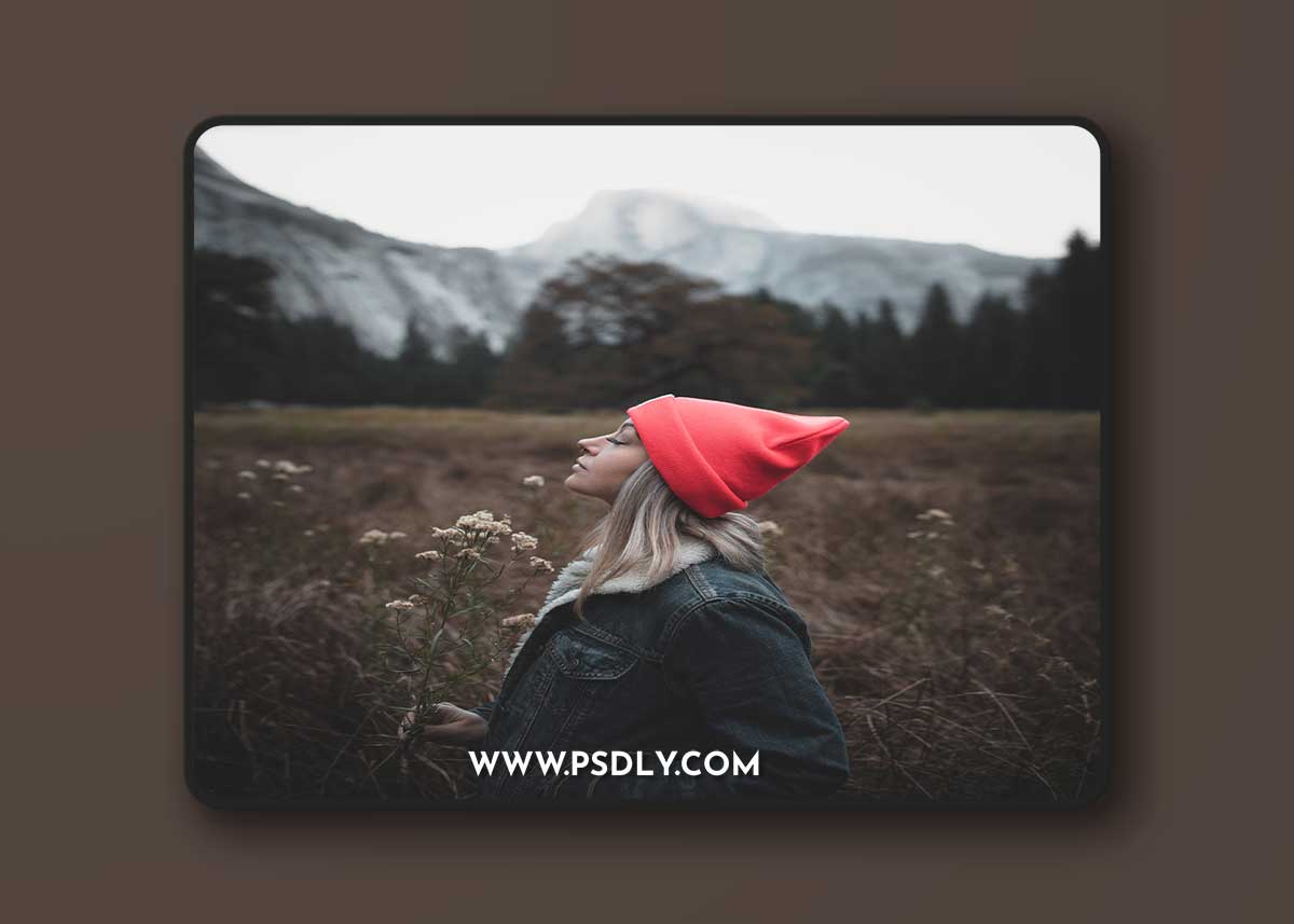 Ashley Brehm - "Portrait" Presets