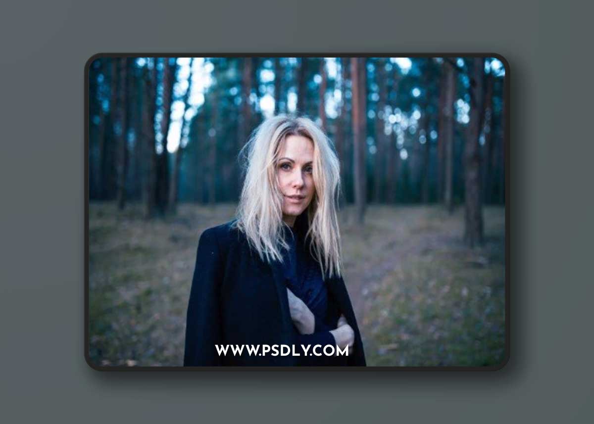 Cobalt Kodak Kodachrome v3.1