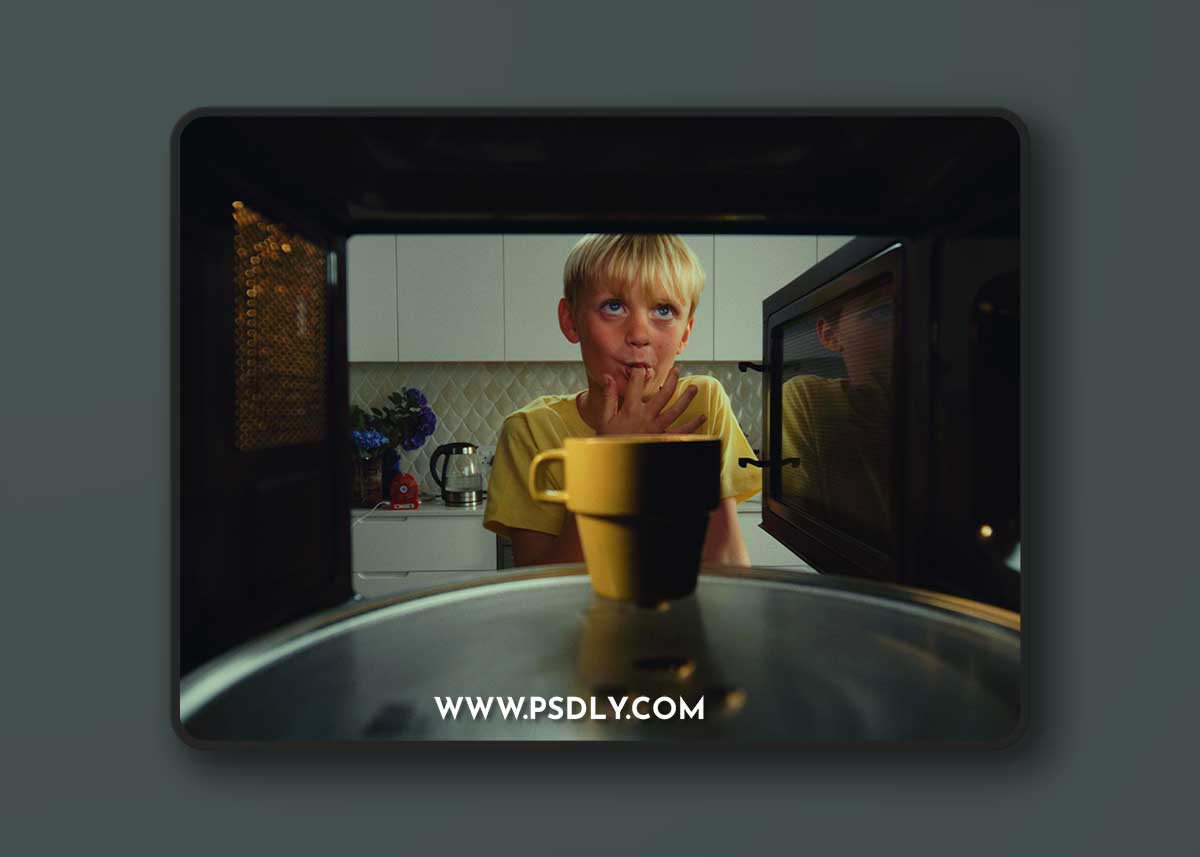 Colorist Factory Precision-Crafted Film Emulation LUT (2024)