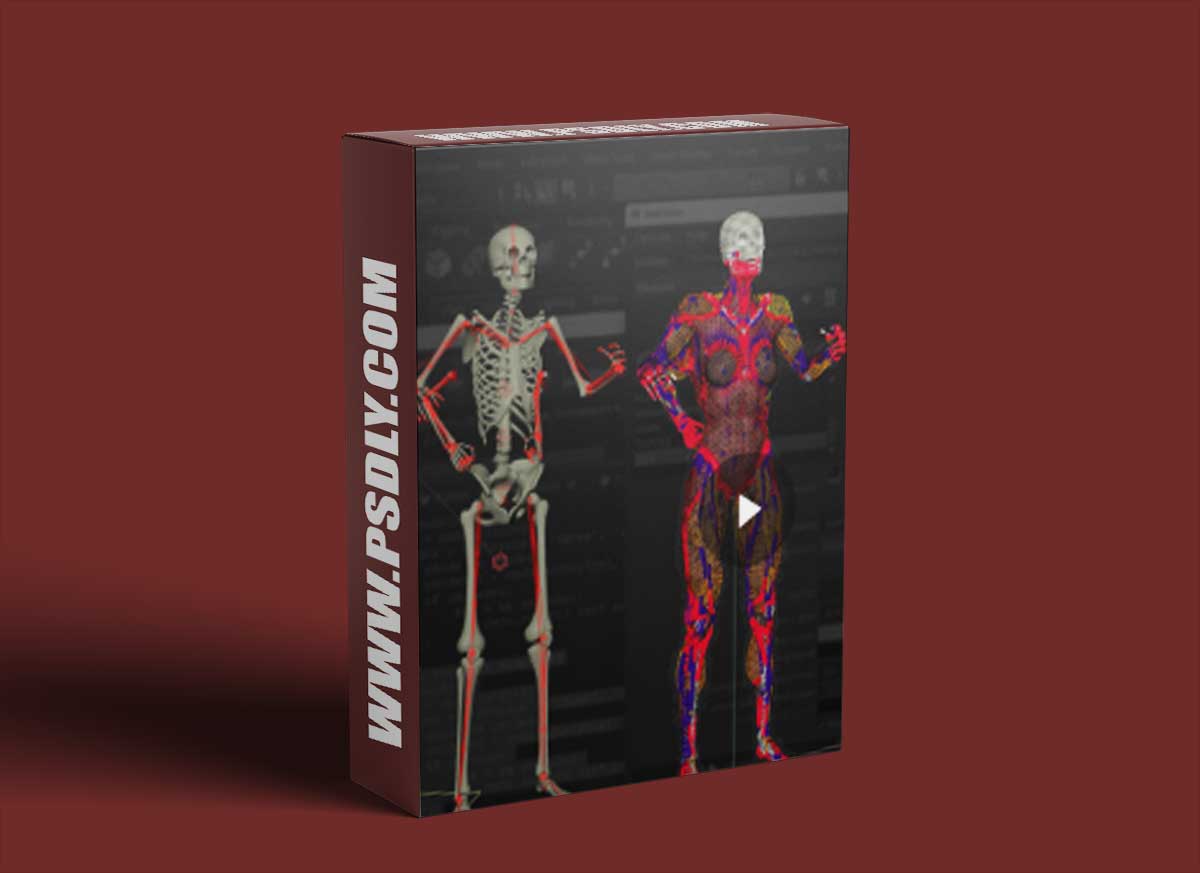 The Gnomon Workshop - Introduction to Ziva VFX Volume 2