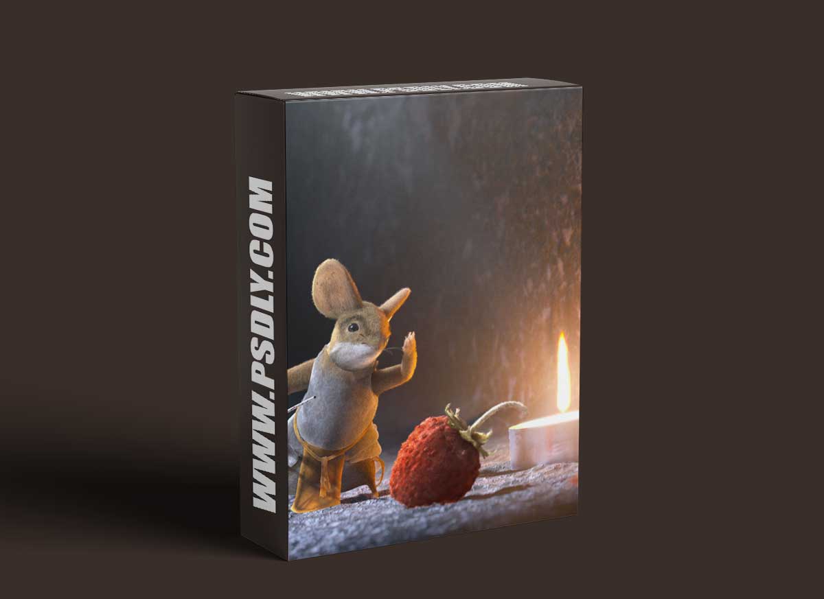 The Gnomon Workshop – Creating Stopmotion Felt in Substance 3D Designer