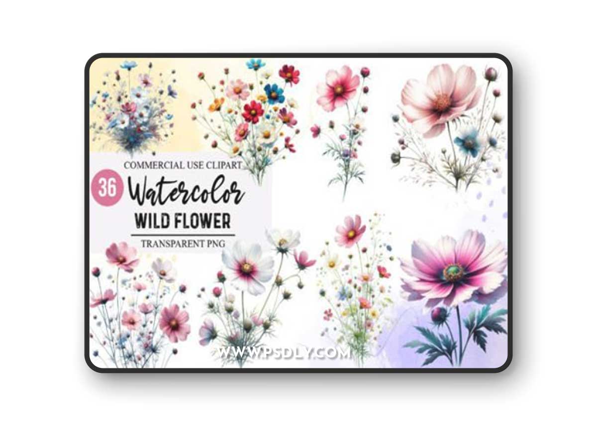 36 Watercolor Wildflowers Clipart Pack