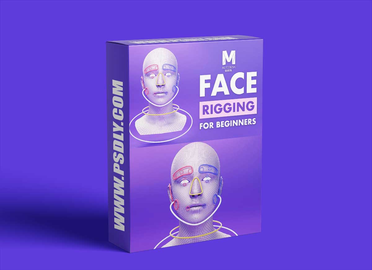 FlippedNormals - Face Rigging for Beginners