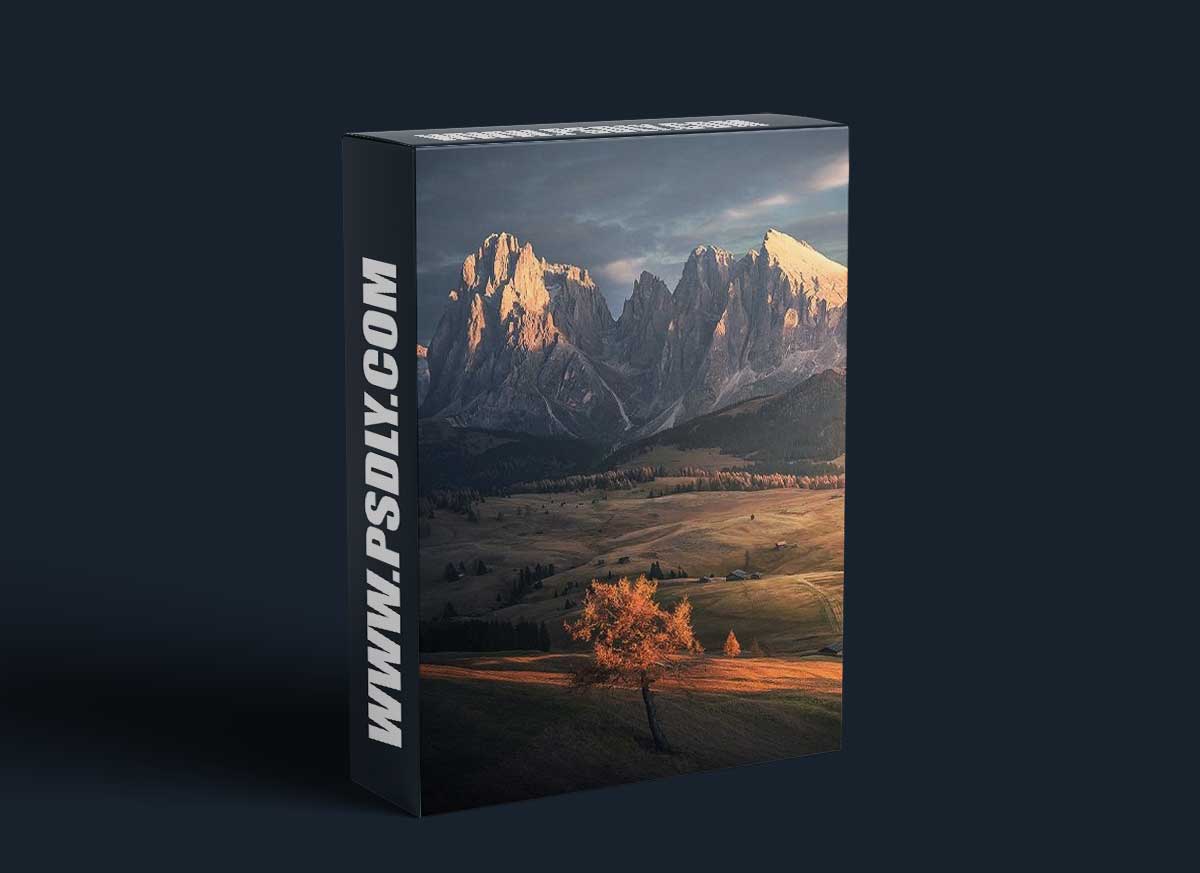 Max Rive Tutorials Bundle