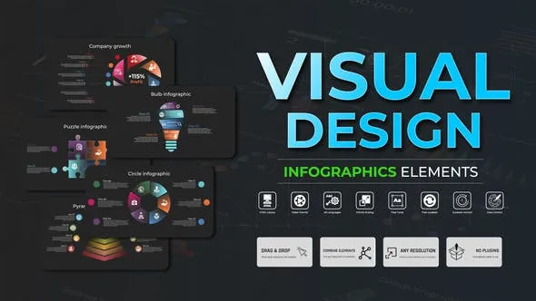 Videohive Infographic - Visual Design 51311108