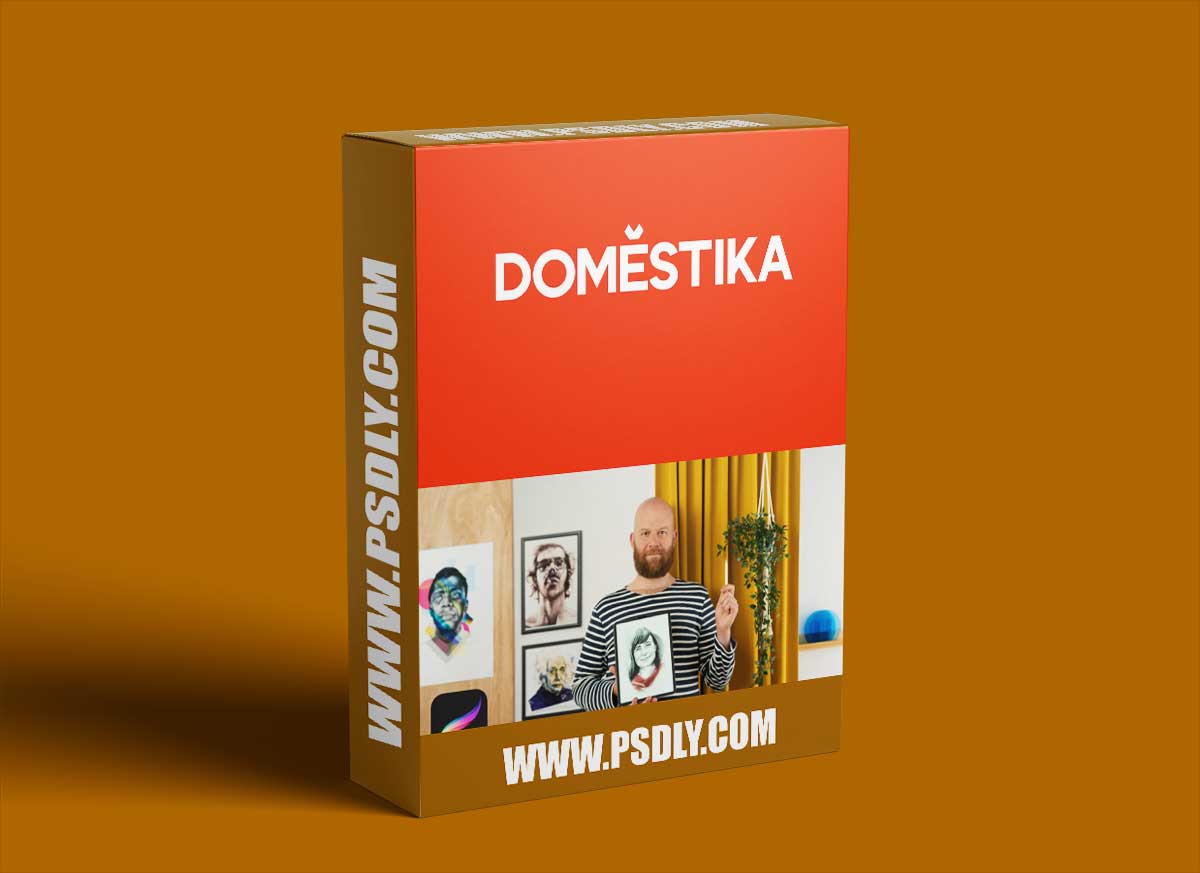 Domestika - Modern Portraiture with Procreate: Stylize Your Subject