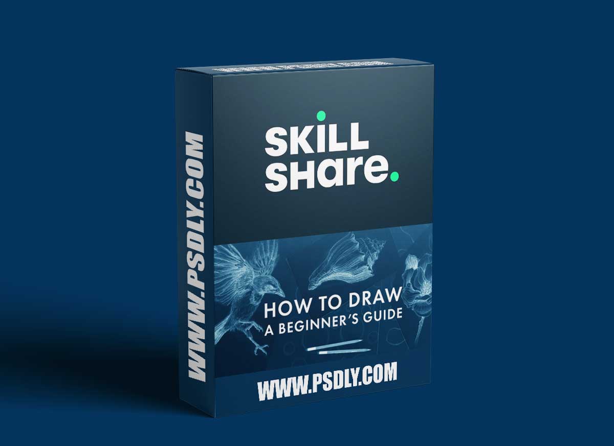 How to Draw: A Beginner’s Guide - Part 1 of The Drawing Laboratory