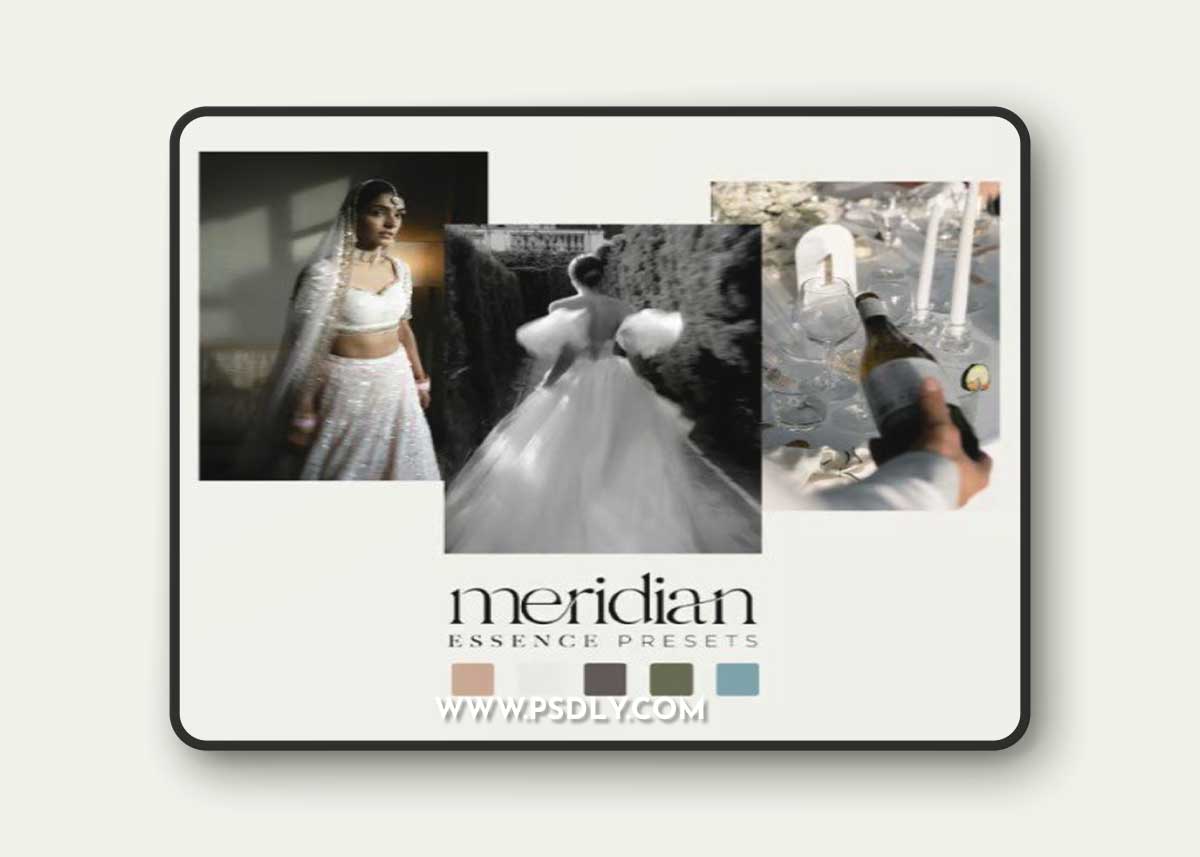 Meridian Presets - Essence Presets