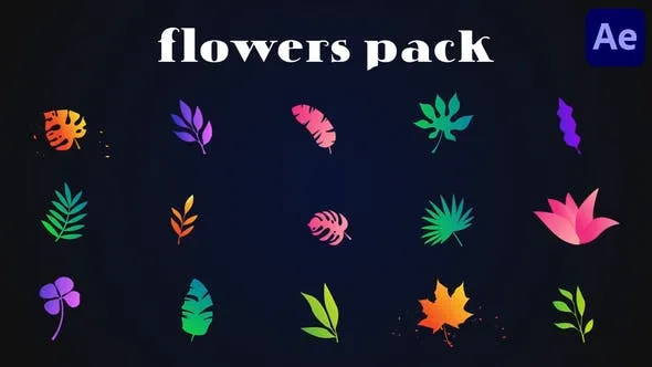 Videohive Colorful Flowers Pack for After Effects 51999712