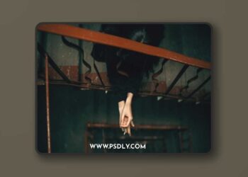 Marat Safin - Gala - Lightroom Preset Pack