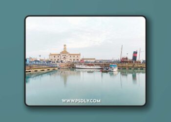 Rebecca Lily - PRO SET VII