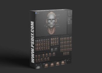 Master Sculpting Heads - 3D Blender Course - New Update! (V1.4)