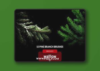 Christmas tree branches photoshop brushes LFM6FVN