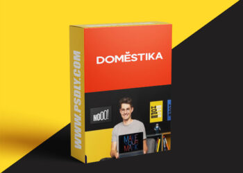 Domestika - Expressive Typography in Motion with After Effects